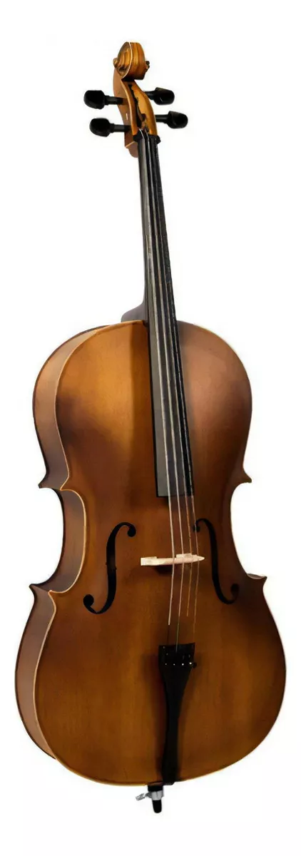 Terceira imagem para pesquisa de violoncelo 3 4