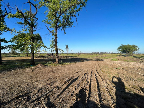 Vende 241 Hás En Parral - Región Del Maule