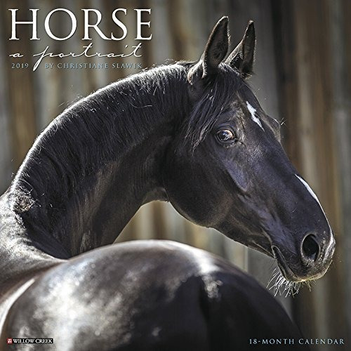 Horse A Portrait 2019 Wall Calendar