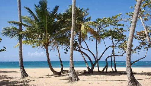 Apartamentos En Las Terrenas A Pasos De La Playa