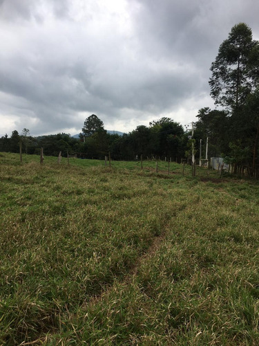 Imagem 12 de 14 de C03- Promoção Terrenos De 10.000m² Em Igaratá