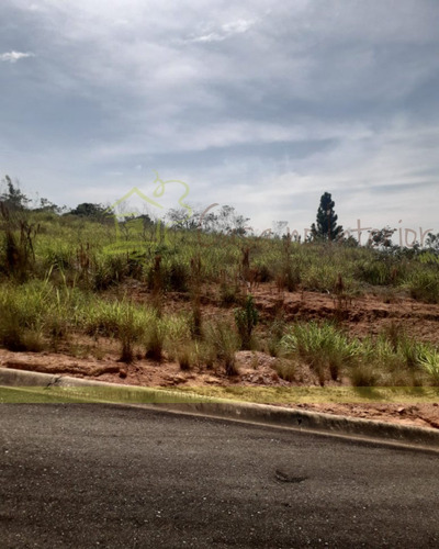 Imagem 16 de 21 de Terreno - Te00064 - 69210627