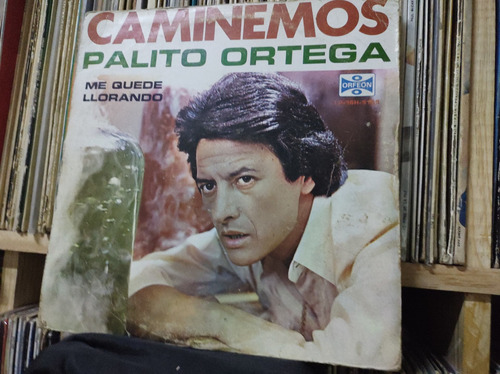 Palito Ortega Caminemos Vinilo Lp Acetato