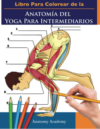 Libro: Libro Para Colorear De La Anatomía Del Yoga Para Inte