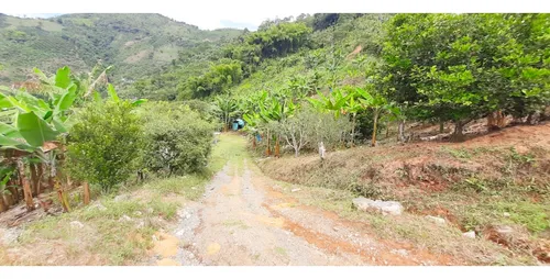 Venta Finca - Vereda Coco Hondo - Balboa