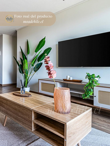Mesa De Centro Elevable Con Almacenamiento Y Compartimento