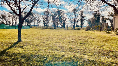Venta Lote Pilar Los Palenques