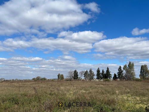 Lote En Venta O Alquiler ,ubicacion Estrategica Km 25 De Panamericana!! A Solo 24 Minutos De Capital. Consultar Precio