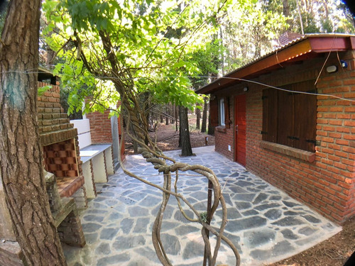 Imagen 14 de 14 de Pequeña Casa En El Bosque De Mar Azul