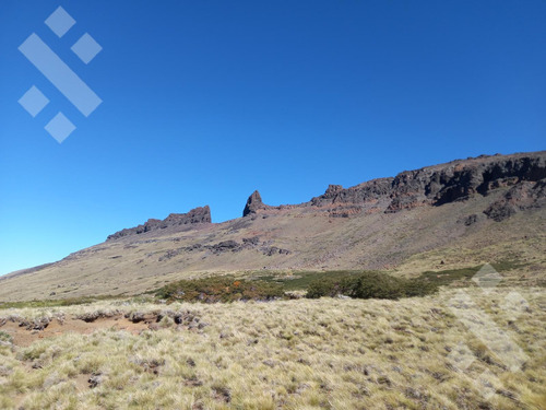 Venta De Estancia En Ruta Provincial 21, Kilómetro 31, Departamento Picunches, Paraje Huarenchenque