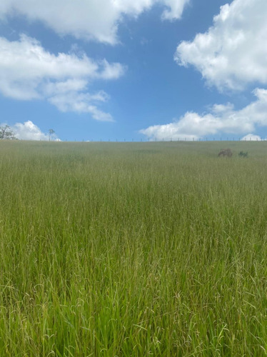 R16- Topografia Excelente Em Jacareí,terrenos A Venda