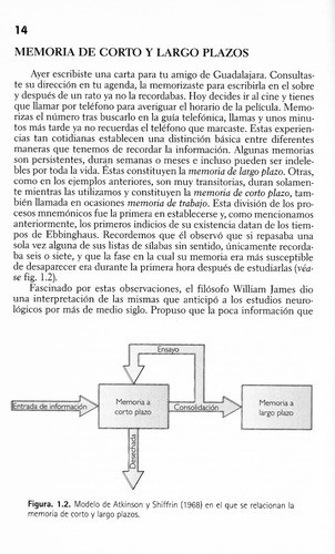 Memoria Donde Reside Y Como Se Forma Editorial Trillas
