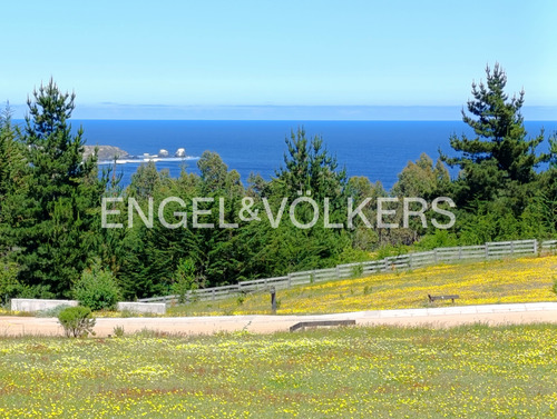 Excelente Terreno En Punta De Lobos