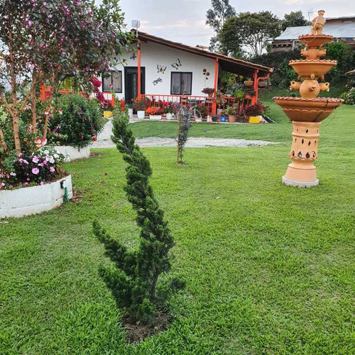 Hermosa Finca En Venta Con Hermosa Vista Y Ubicación En El Carmen Vib