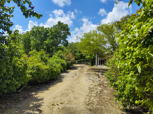 Venta De Rancho En Zona Ganadera De Yucatán, Con Cenotes, 453 Has