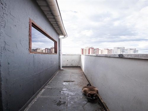 Imagem 13 de 18 de Apartamento Residencial Em São Paulo - Sp - Ap1540_etic