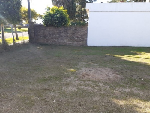Imagen 2 de 7 de Terreno En Álvarez