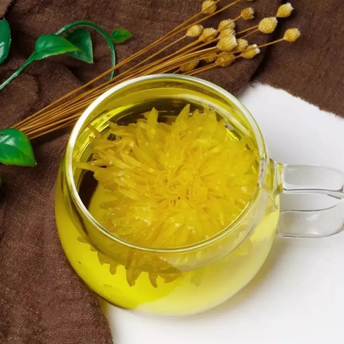 Té De Crisantemo - Crisantemo Dorado