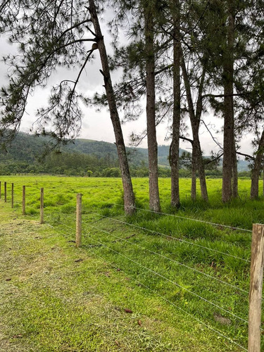 Imagem 3 de 14 de S12- Mega Oportunidade Para Adquirir Seu Lote No Interior