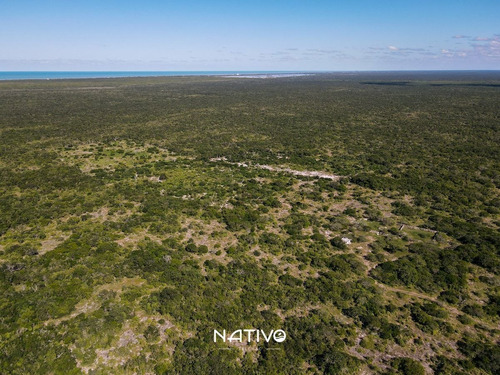 Imagen 11 de 30 de Terreno En Venta En Yucatan A 9 Min De La Playa Telchac Nati