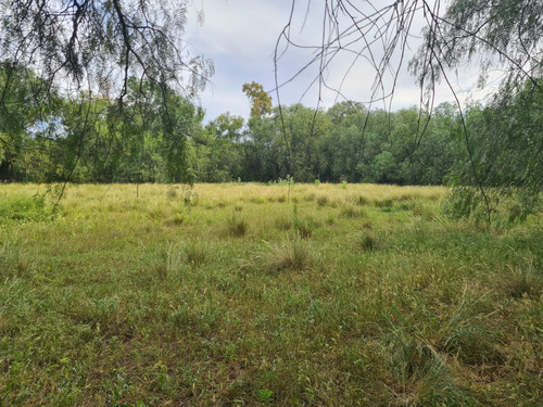 Venta De Quinta