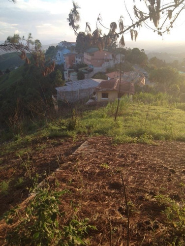 Imagen 8 de 11 de Terreno Topo Sanin