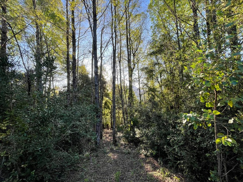 Parcela En Caburgua, Pucón