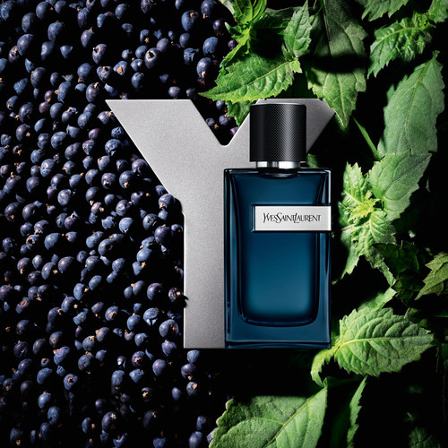 Perfume masculino intenso Yves Saint Laurent And Edp 60ml