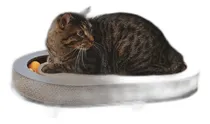 Comprar Kyh Productos Para Mascotas Ez Mount Window Cat Scratcher