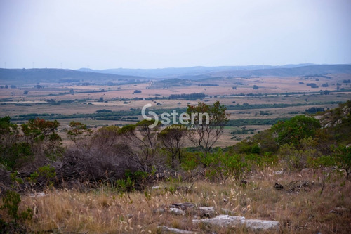 Imagen 2 de 30 de Venta Chacra, Paso Dutra, Maldonado.
