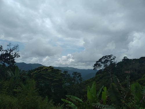 Imagen 14 de 16 de Excelente Terreno Con Galpón Filas Mariche