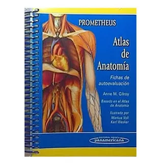 Prometheus Atlas Anatomía Fichas Autoev Original Promo...!!!