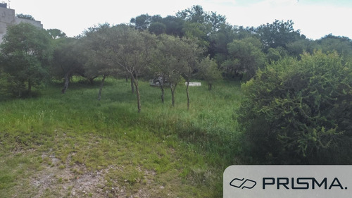Lote - Tierra Alta - 800m2 Proximo A Escriturar!