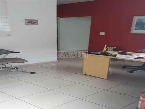 Imagem 7 de 21 de Excelente Comercial Com 550 Mts - 4806