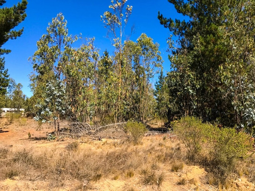  Parcela En  Las Petrillas 5minutos De Algarrobo.