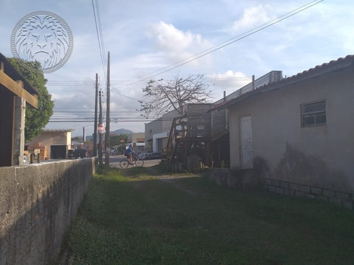 Imagem 8 de 15 de Terreno Comercial - Campeche - Ref: 1693 - V-1730