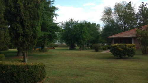 Imagen 8 de 14 de Campo En Venta - Loma Verde