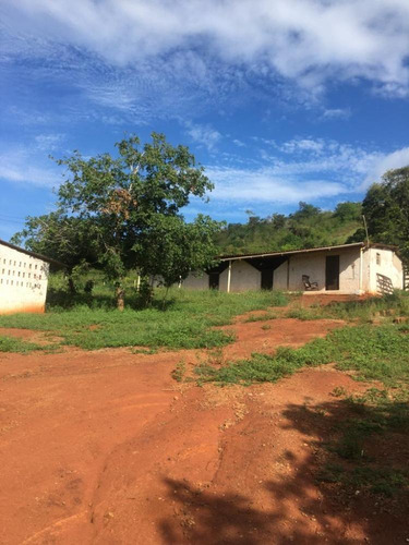 Imagem 14 de 21 de Excelente Fazenda 3,5 Hec, Lazer, Qualidade De Vida Pra Você Em Vitória, Aceito Imóvel/carro - Fz12861v