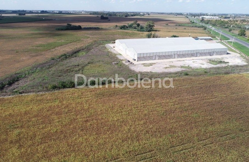 Imagen 14 de 22 de Terreno En Venta Ubicado En Alvear, Rosario, Santa Fe