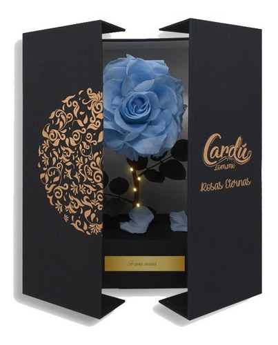 Caja Con Rosa Eterna Azul Silvestre Con Luz Y Placa Regalo