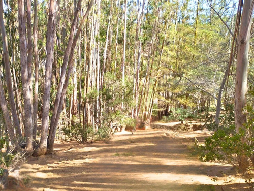Parcela En Venta En Algarrobo