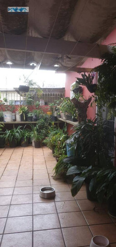 Imagem 30 de 30 de Casa À Venda - Ca0110