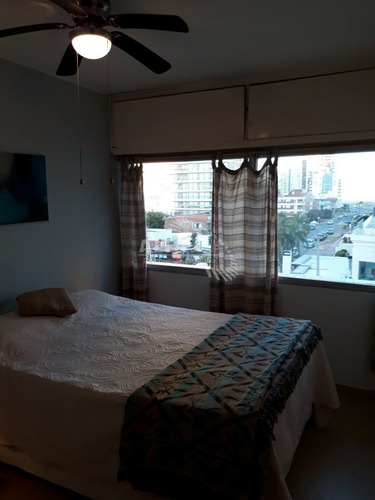 Imagen 9 de 17 de A Metros Del Mar, Apto De 1 Dormitorio - Punta Del Este Brava