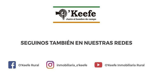 Imagen 30 de 30 de Grandes Extensiones De Bosque Nativo En Misiones - Bonos Verdes- Ideal Conservacionistas
