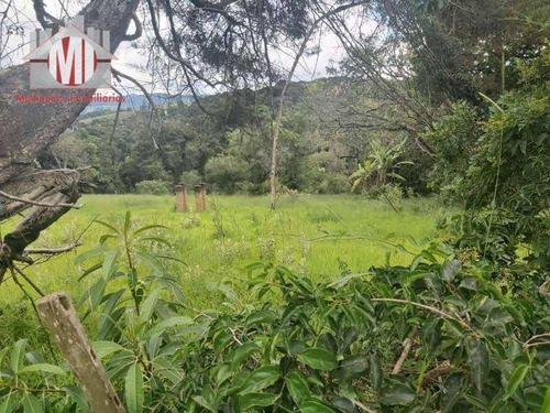 Ótima Chácara Com 03 Dormitórios, Pomar, Vista Deslumbrante, Cômodos Amplos, À Venda, 6000 M² Por R$ 450.000 - Zona Rural - Pinhalzinho/sp - Ch0864