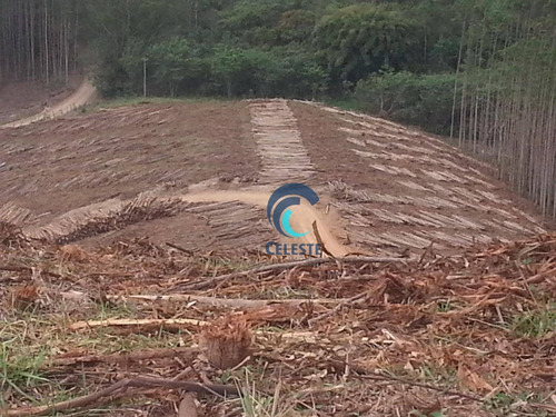 Imagem 6 de 10 de Fazenda Com 1 Dormitório À Venda, 1524600 M² Por R$ 4.840.000,00 - Das Laranjeiras - Paraibuna/sp - Fa0004
