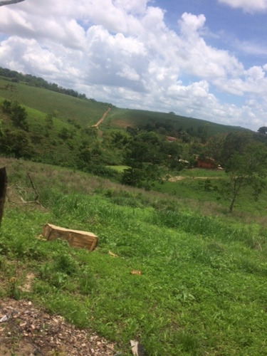 Imagem 11 de 19 de Excelente Granja 12 Hec Nas Margens Da Pe 75 Em Aliança, Aceito Imóvel Ou Automóvel - Ch00028