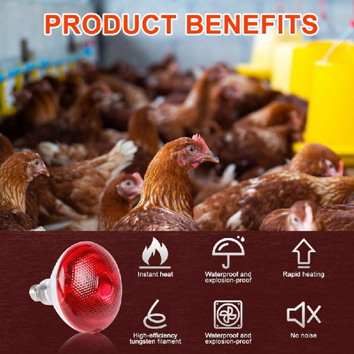 Aquecimento De Lâmpada De Aquecimento De Aves De 175w Para S