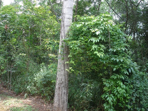 Imagem 5 de 12 de Lotes Em Condomínio Para Comprar No Green Park Em Nova Lima/mg - 2285
