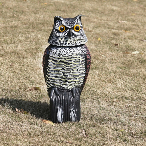 Gran Búho Halcón Espantapájaros